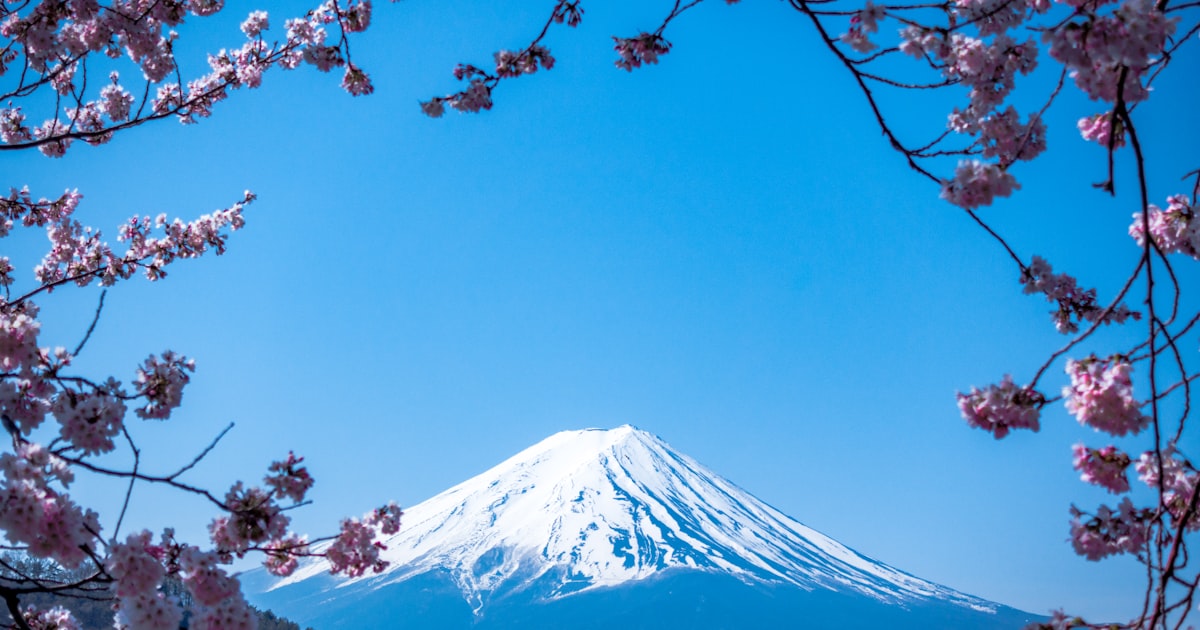 河口湖の桜完全ガイド ── 富士山×湖×温泉を一日で満喫するプラン