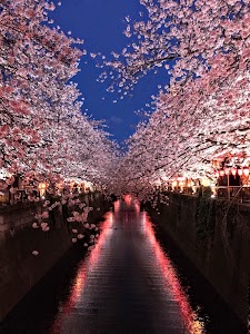 目黒川船入場（下流）