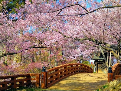 高遠城址公園
