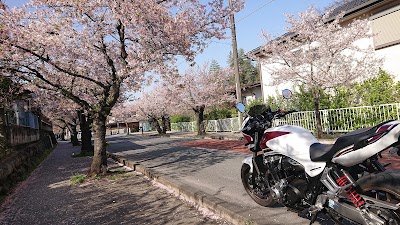 北桜通り