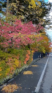 角館武家屋敷通り