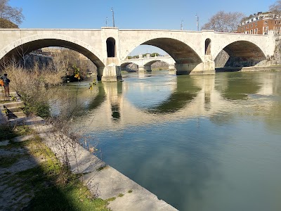 Trastevere Roma