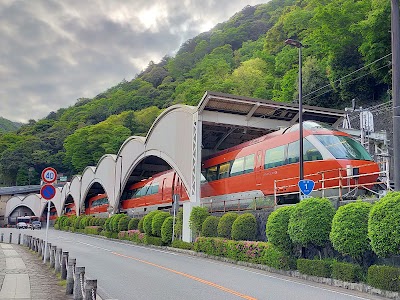 箱根湯本の桜