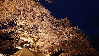 箱根 宮城野