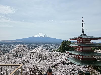 新倉山浅間公園