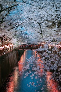 下流エリア（中目黒〜目黒）