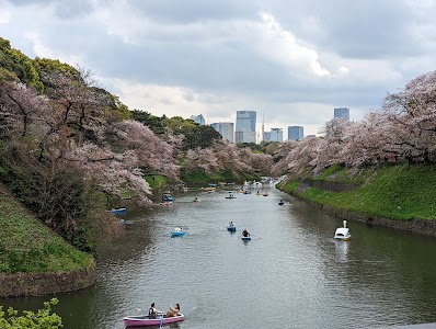 千鳥ヶ淵 → 北の丸公園コース